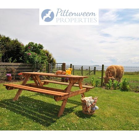 Clover Cottage Countryside Retreat With Sea Views 크레일 외부 사진