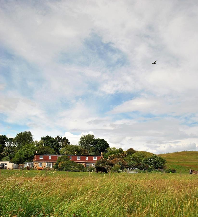 Clover Cottage Countryside Retreat With Sea Views 크레일 외부 사진