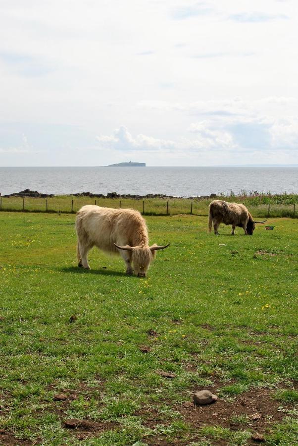 Clover Cottage Countryside Retreat With Sea Views 크레일 외부 사진