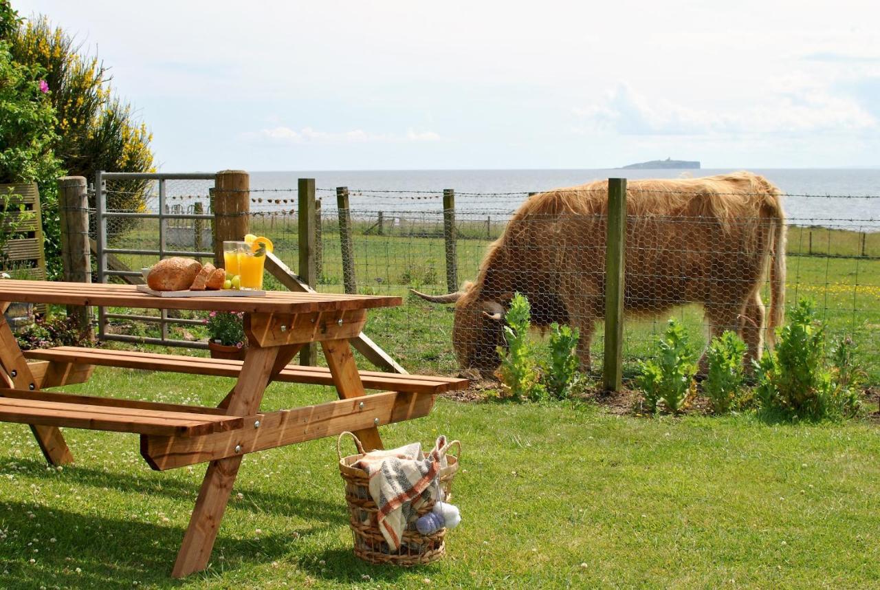 Clover Cottage Countryside Retreat With Sea Views 크레일 외부 사진