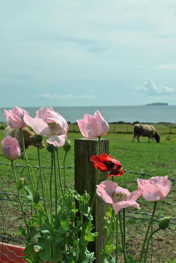 Clover Cottage Countryside Retreat With Sea Views 크레일 외부 사진
