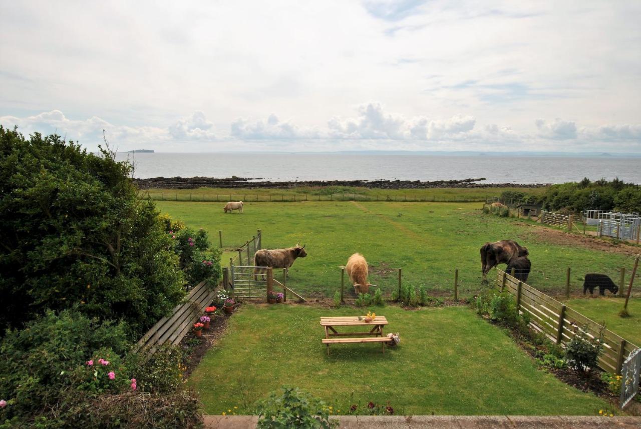 Clover Cottage Countryside Retreat With Sea Views 크레일 외부 사진